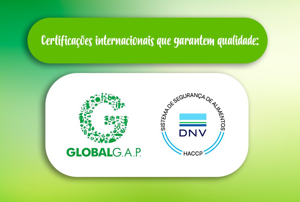 Nossas certificações internacionais: foco em qualidade e segurança