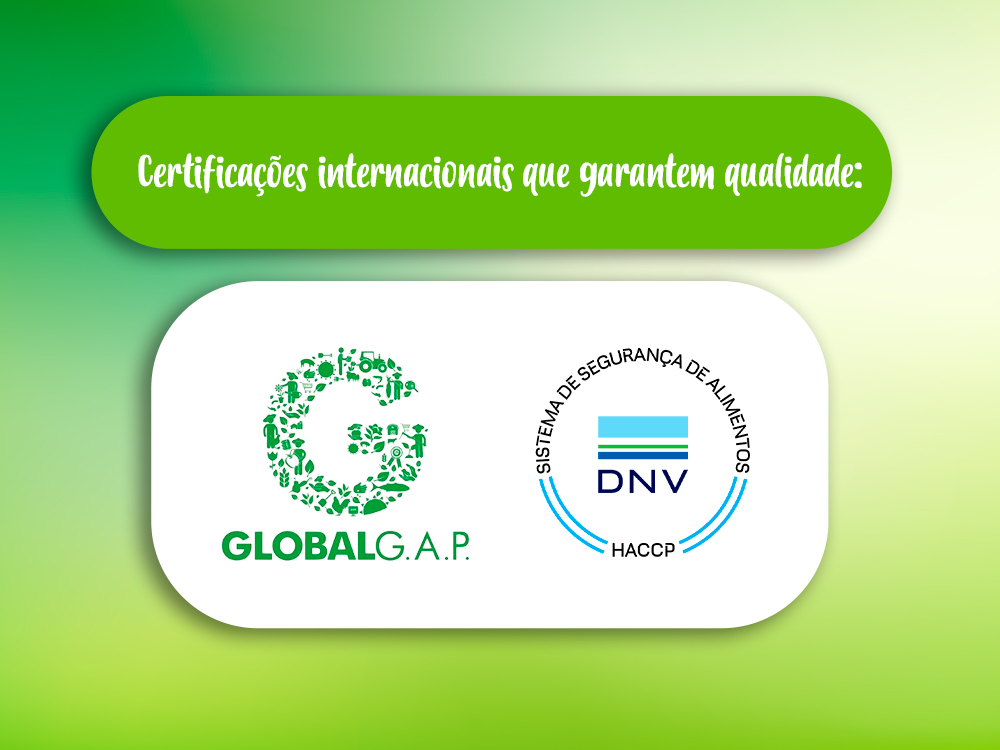 Nossas certificações internacionais: foco em qualidade e segurança