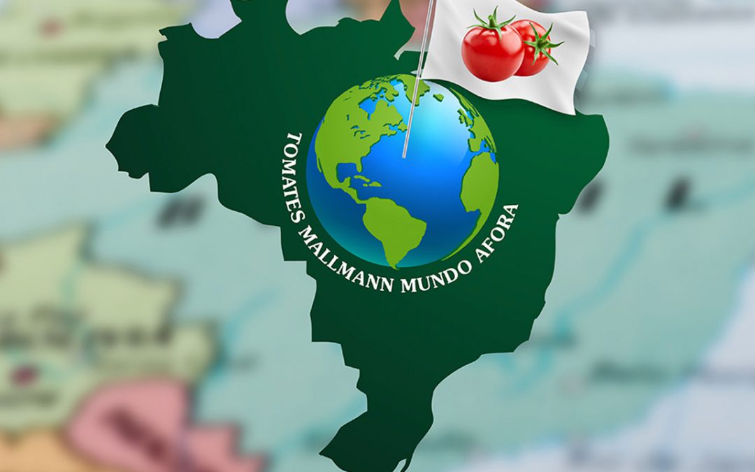 Tomate na culinária brasileira