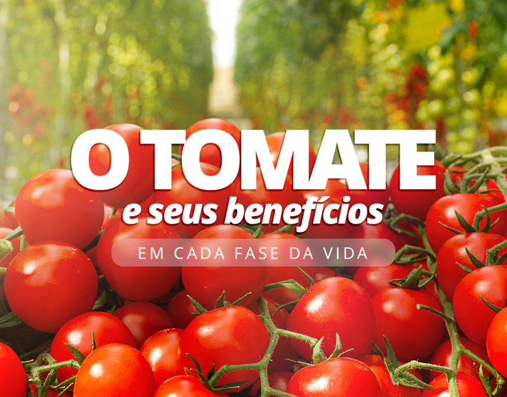O tomate e seus benefícios em cada fase da vida