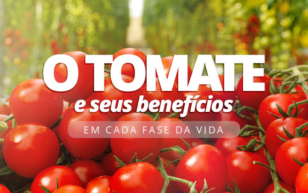 O tomate e seus benefícios em cada fase da vida