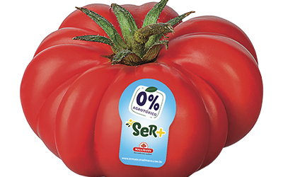 Tomate Mediterrâneo Ser+ 0% agrotóxico