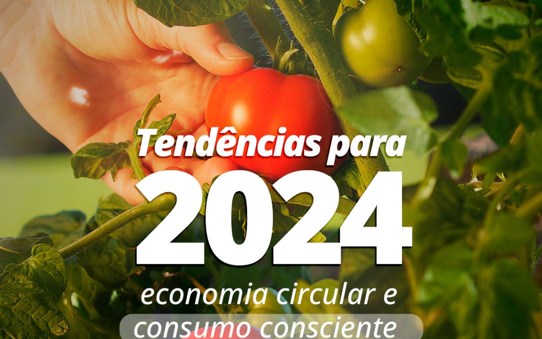 Tendências para 2024: economia circular e consumo consciente