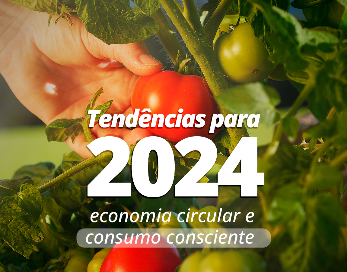 Tendências para 2024: economia circular e consumo consciente