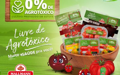 Tomates Mallmann: Excelência em cultivo 0% de agrotóxico
