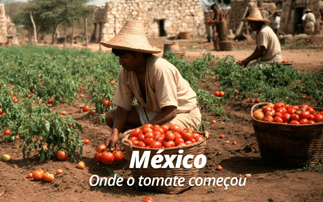 México: Onde o tomate começou