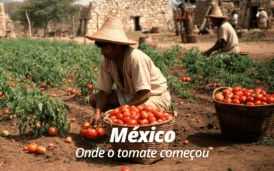 México: Onde o tomate começou