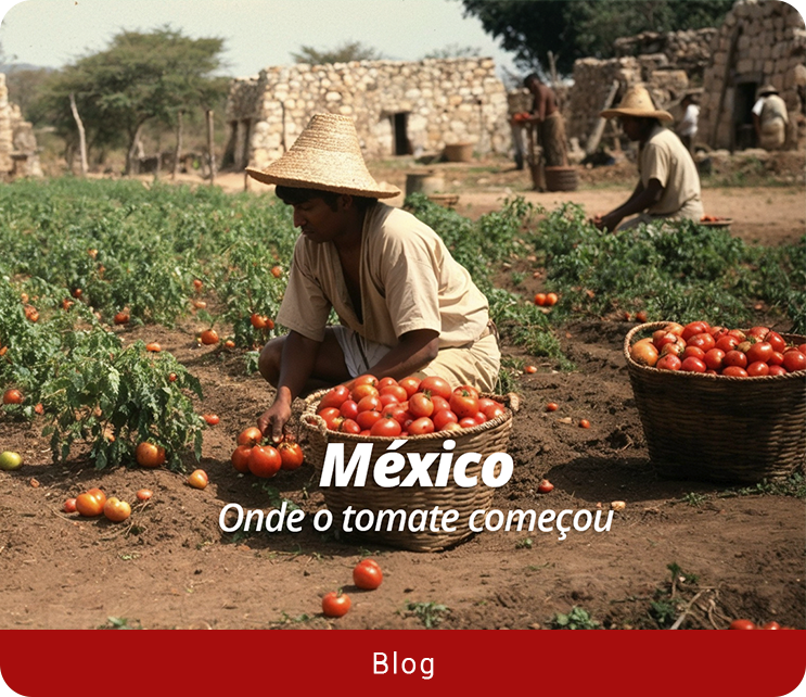 blog-home