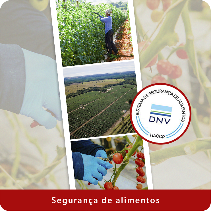 seguranca-de-alimentos-home